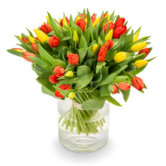 Kytice tulipánů